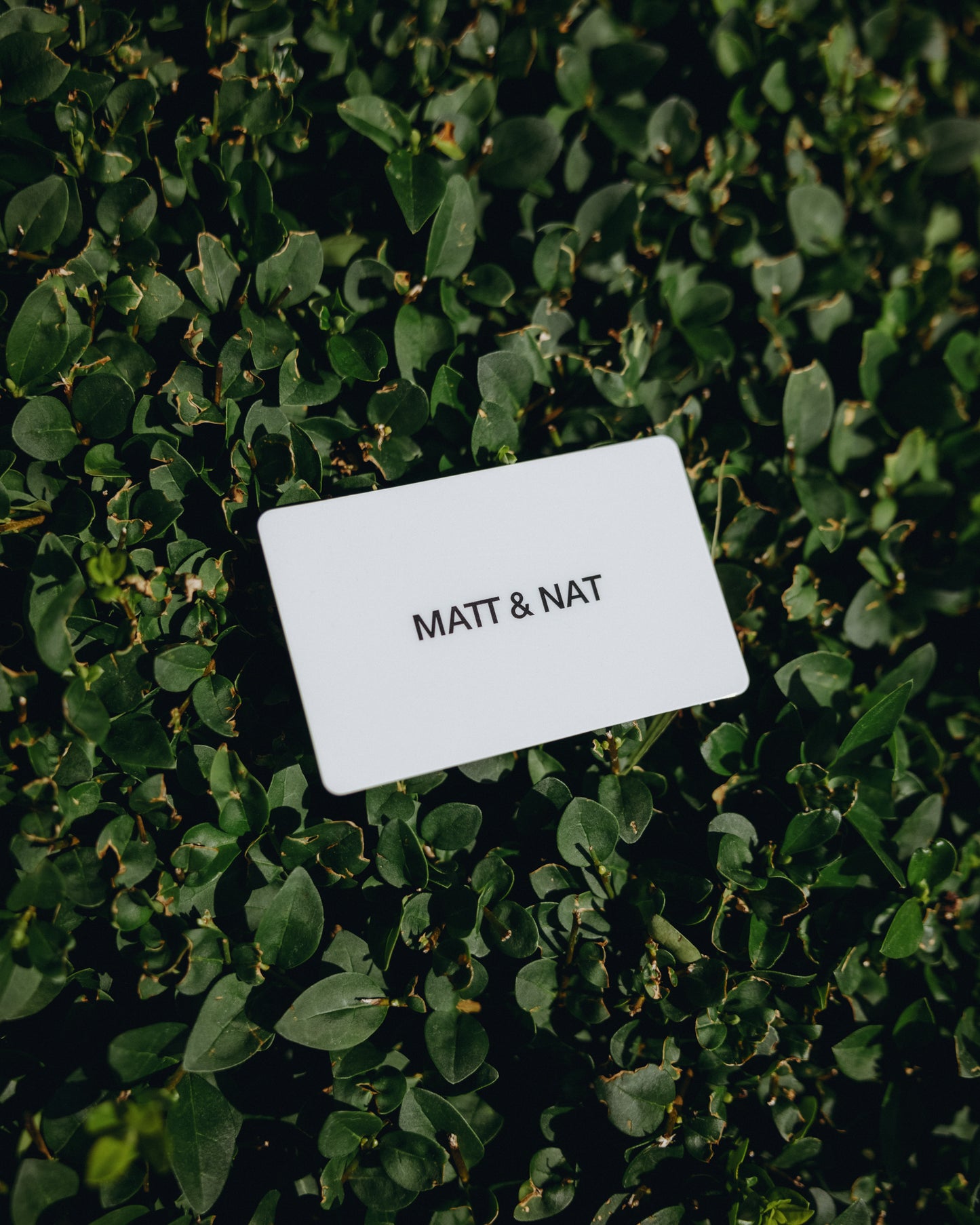 Matt & Nat Gift Card